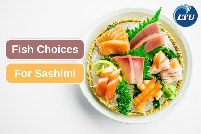 Exploring the Best Fish for Sashimi